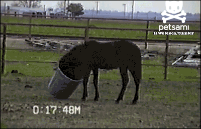 48da89110bb24eb083a12bf366f7c89f.gif