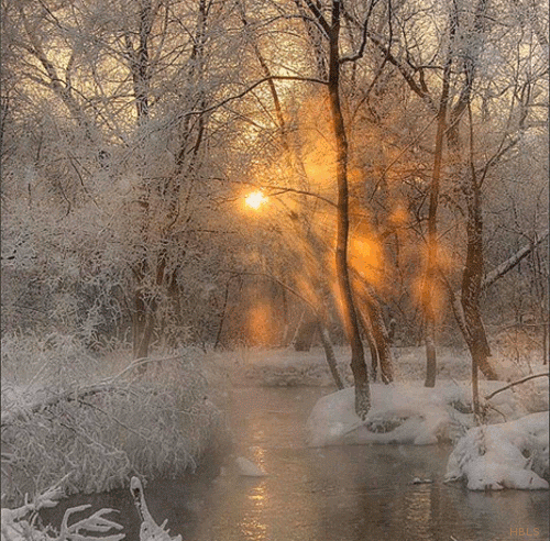 b48bd6fd457b7612df7f0b1566896099.gif