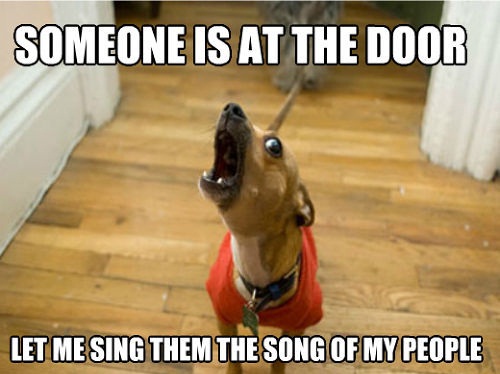 songofmypeople.jpg