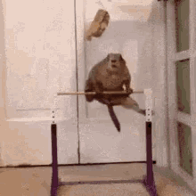 tenor.gif