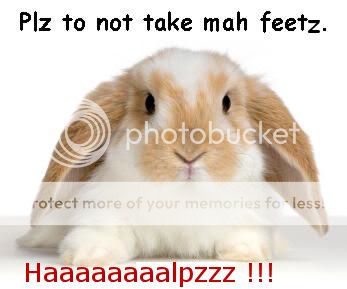 rabbitfeetz.jpg