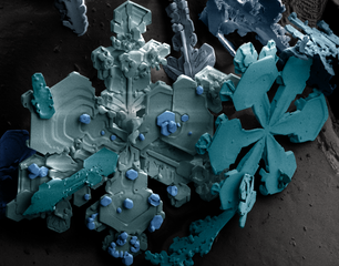 306px-Snow_crystals.png