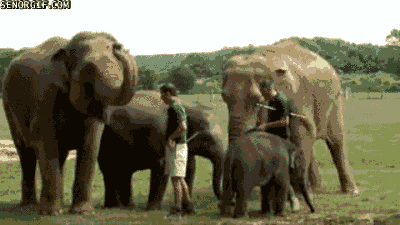 DY8eB9p.gif