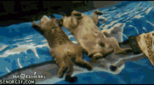 rest-and-relaxation
