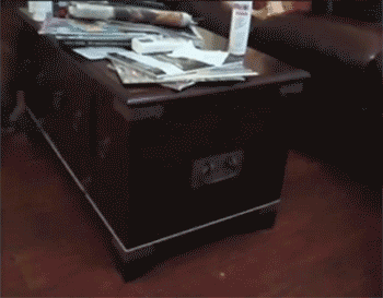 ani_tether-chase-dog.gif