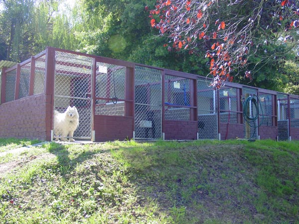 kennel04lg.jpg