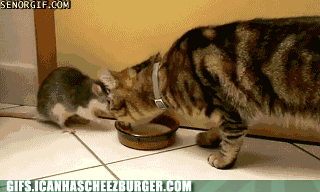 gathering-at-the-table-of-brotherhood