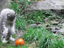 4d4accc4b1f00f791137f8363f7148e9.gif
