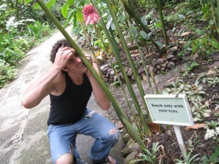 acid_picdump_83.jpg