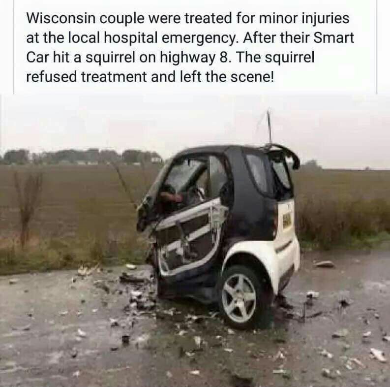 1231f0ec76c8af5e1a1b3f886e9f1303.jpg
