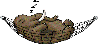 blog-070308-sleeping-elephant.gif