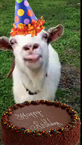 happy-birthday-birthday-cake.gif