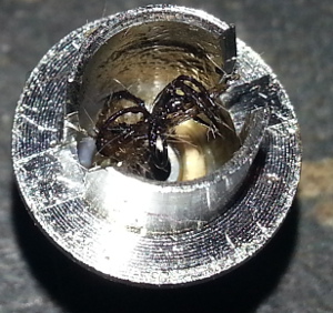 20131230_173800.jpg