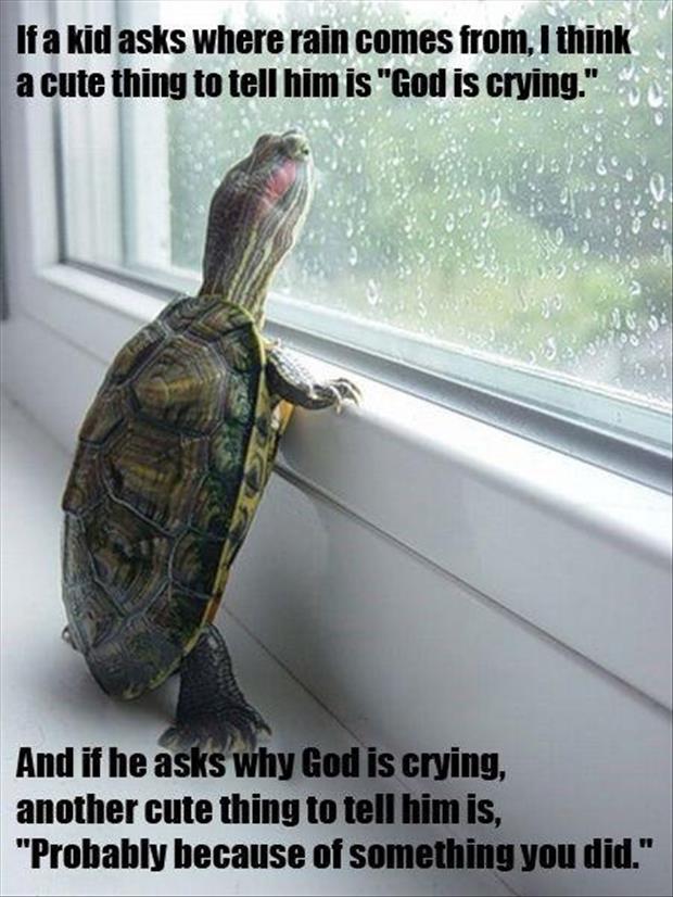 Funny-Animals-with-Captions-21.jpg