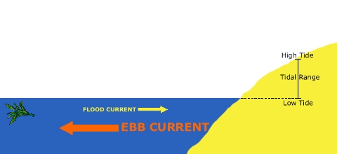 tide01_480.gif