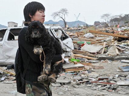 425.japan.dog.lr.031511.jpg
