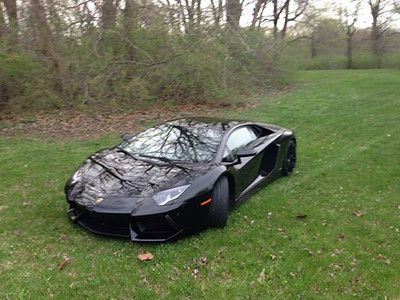 teddslamborghini1.jpg