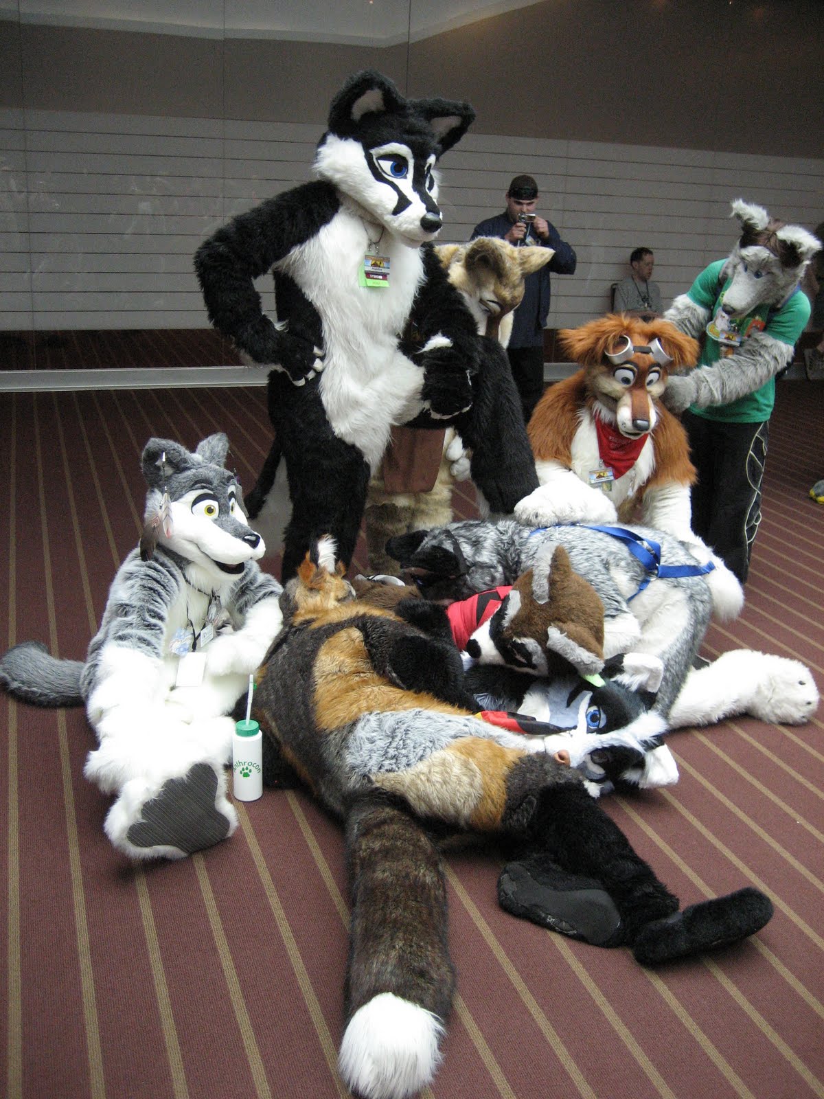 anthrocon+311.jpg