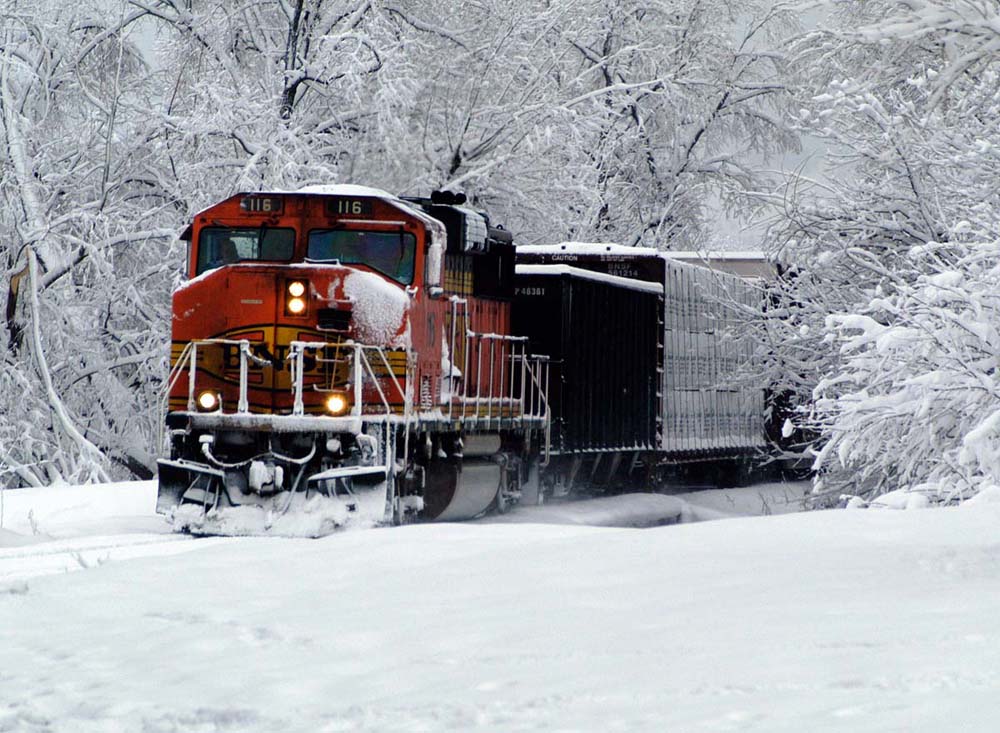 train2.jpg