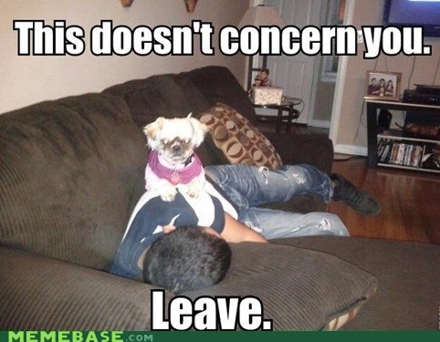 evil-dog-is-evil