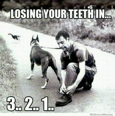 27bb065d80c6687dbeeff7423f23be2e.jpg
