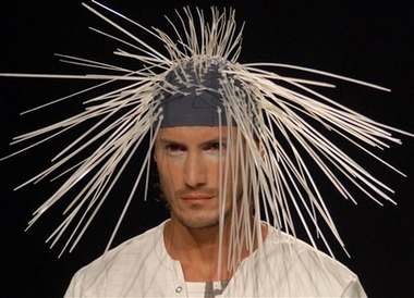 porcupine1.jpg