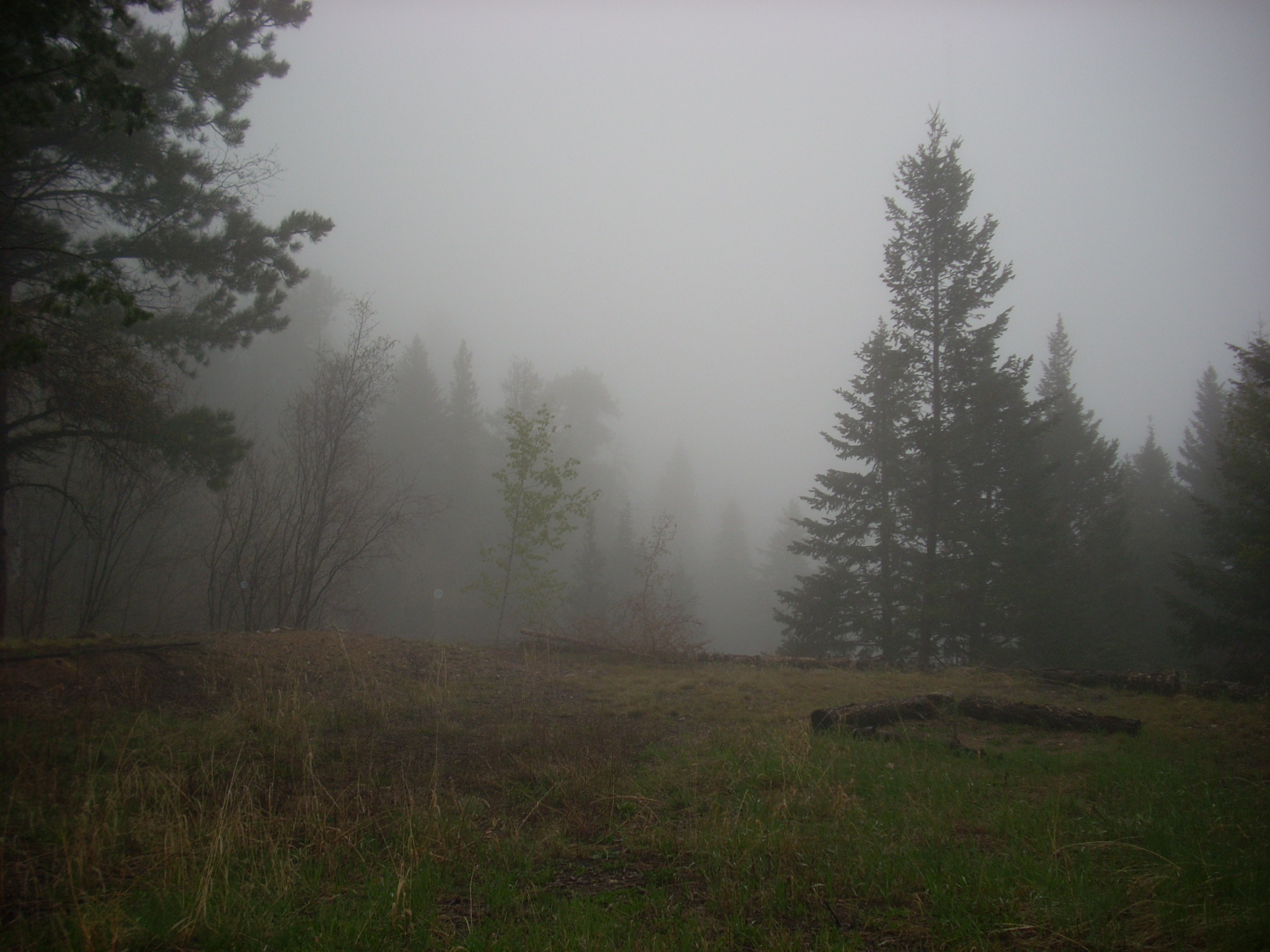 fog-off-a-cliff.jpg