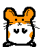 animated-rodent-image-0039.gif