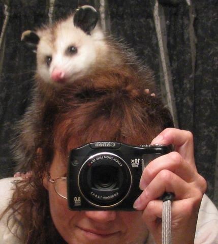 ea9ec270320d592583a3ee35f1eb0c65--hats.jpg