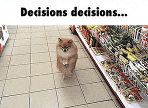 giphy-downsized.gif