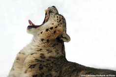 ba171924754c3a7de575b47296ace6a5.jpg