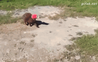 hey-kitty-let-me-help-you