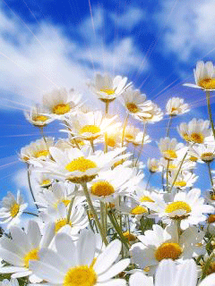f9859ffe4ecb954619bce1c628c6ed36.gif