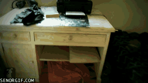DO1w9Ypah06sLk55l7W4rg2.gif