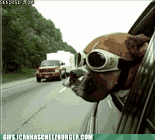 Z25pkQ8V7kCuviVCDvixnQ2.gif