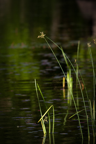 chateaugay-2012-131-L.jpg