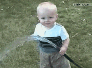 rcfkMp6qBfPDG.gif