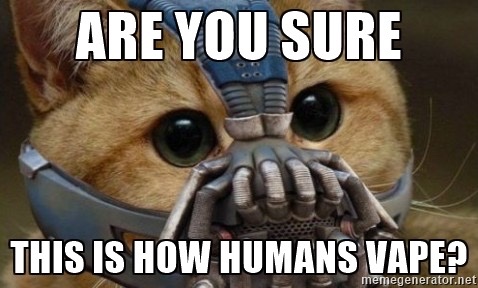 1e0ca4d60afe2f5d0c07cf55c8785247.jpg