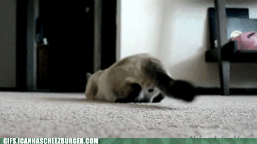 wiggle-wiggle-wiggle-wiggle-wiggle-yeah