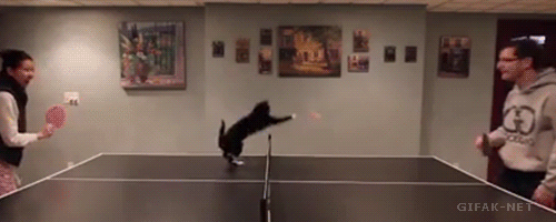 JCsbE75.gif