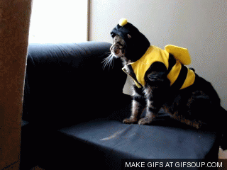 yW7hxAI.gif