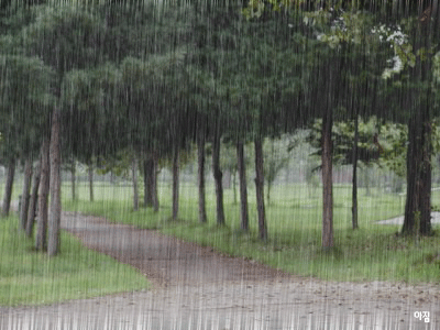 rain.gif