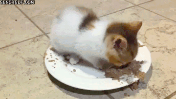 dis-mai-food