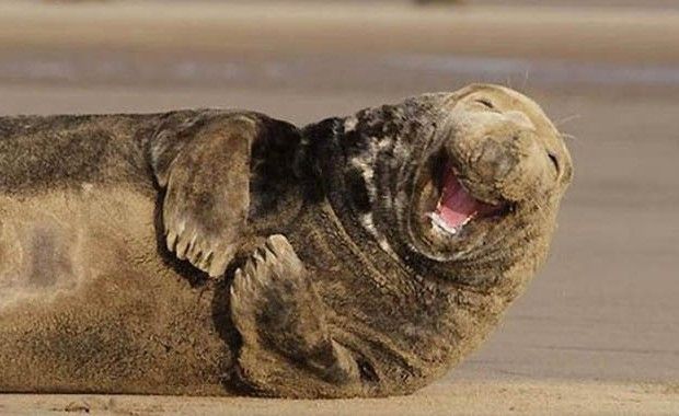 smiling-620x380.jpg