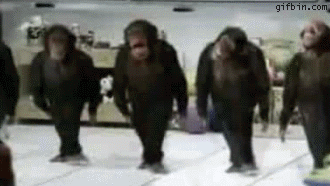 f63c3cd58ea7d0ee56952756d63b7840.gif