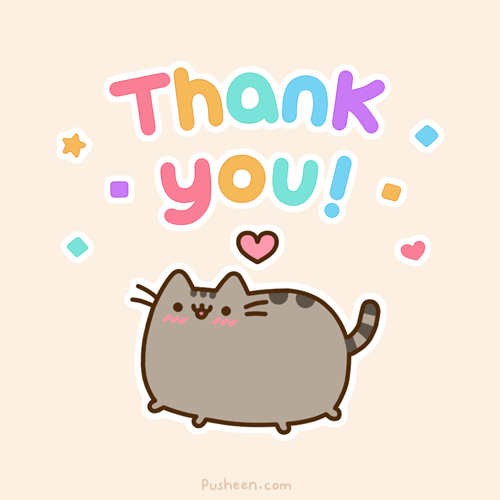 cat-cute-followers-funny-favim-com-1048338.gif