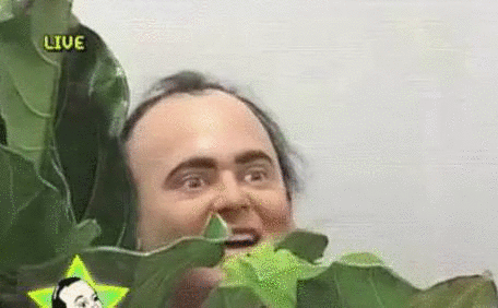 CeLOnw2.gif