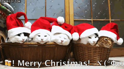 merry-christmas