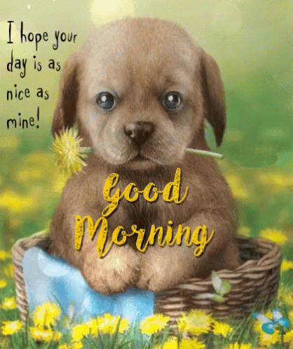 3a99e5a9ef7fd11ed09ce552b6d46982.gif