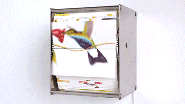 flippy-2.gif